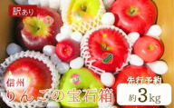 【2025年先行予約】訳あり りんご 園主におまかせ 詰合せ 計約3kg（8~11玉）りんごの宝石箱 産地直送 シナノスイート シナノゴールド 秋映 あいかの香り 群馬名月 王林 紅玉 シナノホッペ サンふじ 千曲市 長野県 信州