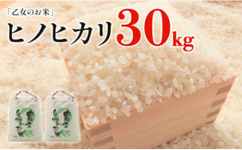 令和4年産「乙女のお米」ヒノヒカリ 30kg 230260 - 福岡県田川市