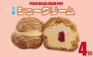 シュークリーム カスタード 4個 ピーチ ピーチメルバ 贈答 ギフト スイーツ お菓子 おやつ デザート 洋菓子 焼菓子 個包装 小分け 新潟銘菓 新潟 新発田 蒲原 いえい 菜菓亭 iei005