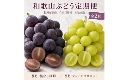 定期便 8・9月発送 紀州有田産旬のぶどうセット（種なし巨峰・シャインマスカット） 2302921 - 和歌山県有田川町