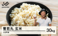 《先行予約》新米 米 雪若丸 玄米 30kg 2025産 令和7年産 山辺町産 2025年11月中旬から順次発送 お米 米 ブランド米 こめ os-ywgxa30 ※沖縄・離島への配送不可