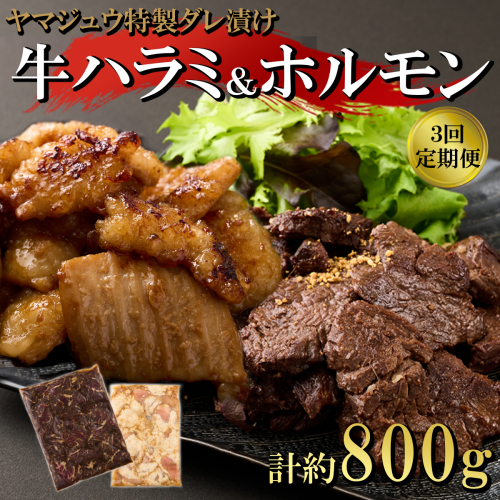 ヤマジュウの特選タレ漬け！牛ハラミ肉＆国産牛ホルモン計８００ｇ【３回定期便】 頒布会 2303150 - 高知県室戸市