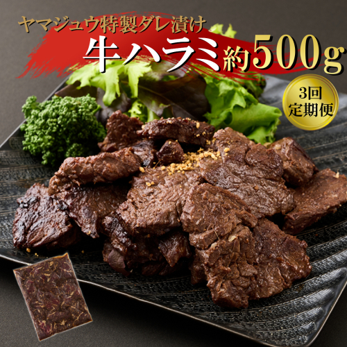 ヤマジュウの特製タレ漬け！牛ハラミ肉５００ｇ【３回定期便】 頒布会 2304176 - 高知県室戸市