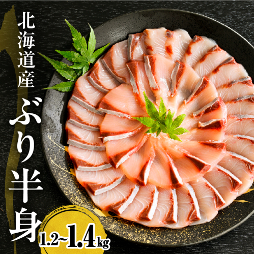 えりも【マルデン特製】(ワンフローズン)北海道日高産ぶり半身1.2kg～1.4kg【er002-077-b】 2304405 - 北海道えりも町
