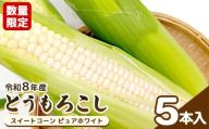 令和8年産予約開始★数量限定! とうもろこし スイートコーン ピュアホワイト 5本入 | とうもろこし ピュアホワイト 野菜 取り寄せ 新鮮 バーベキュー 甘い ジューシー オンライン申請 ワンストップ ふるさと納税 宮城県 白石市[06168]