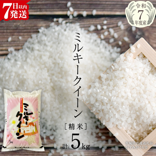 【令和7年産】 ミルキークイーン 精米 5kg（5kg×1袋）（茨城県共通返礼品 かすみがうら市産） 新米 米 ごはん もっちり 甘い コメ お米 白米 銘柄米 [EX016sa] 2304493 - 茨城県桜川市