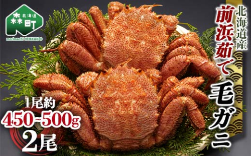 【12/27～12/31にお届け】北海道 毛ガニ 容量が選べる 前浜茹で毛がに 約450g～500g 2尾 かに カニ 蟹 ガニ がに 森町 毛蟹 毛かに 毛がに 毛カニ 毛ガニ mr1-1107 2304637 - 北海道森町