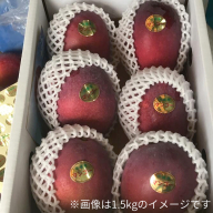 [先行予約・数量限定]宮平農園のマンゴー1kg[アーウィン・家庭用]