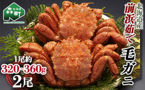 【12/27～12/31にお届け】北海道 毛ガニ 容量が選べる 前浜茹で毛がに 約320g～360g 2尾 かに カニ 蟹 ガニ がに 森町 毛蟹 毛かに 毛がに 毛カニ 毛ガニ mr1-1109 2304640 - 北海道森町