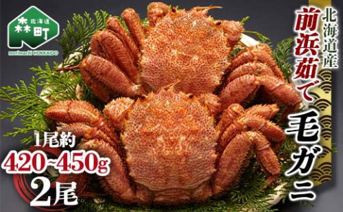 【12/27～12/31にお届け】北海道 毛ガニ 容量が選べる 前浜茹で毛がに 約420g～450g 2尾 かに カニ 蟹 ガニ がに 森町 毛蟹 毛かに 毛がに 毛カニ 毛ガニ mr1-1117 2304643 - 北海道森町