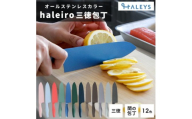【コーラルカーネーション】包丁だって彩り豊かに！オールステンレスのカラー包丁「haleiro（ハレイロ）」サントク