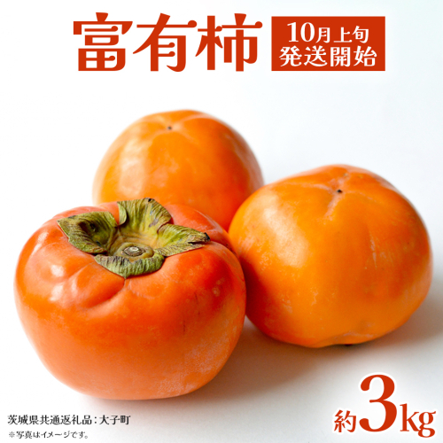 富有柿 約3kg 【2025年10月上旬発送開始】(茨城県共通返礼品：大子町) 柿 カキ かき 果物 フルーツ 旬 季節限定 期間限定 2304761 - 茨城県牛久市