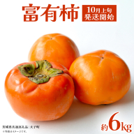 富有柿 約6kg 【2026年10月上旬発送開始】(茨城県共通返礼品：大子町) 柿 カキ かき 果物 フルーツ 旬 季節限定 期間限定