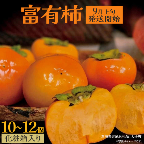 【化粧箱入り】富有柿10～12個【2025年9月上旬発送開始】(茨城県共通返礼品：大子町) 柿 かき カキ 果物 フルーツ 旬 季節限定 期間限定 贈答用 ギフト 贈り物 2304763 - 茨城県牛久市