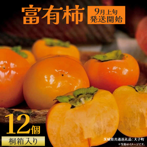 【桐箱入り】 富有柿 12個【2025年9月上旬発送開始】(茨城県共通返礼品：大子町) 柿 かき カキ 果物 フルーツ 旬 季節限定 期間限定 贈答用 ギフト 贈り物 2304764 - 茨城県牛久市
