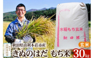 [もち米]30kg 秋田県由利本荘市産 きぬのはだ[玄米]五平農園