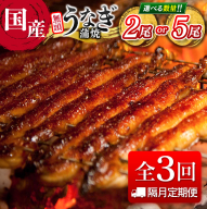 [隔月定期便]国産 うなぎ 定期便 鰻楽 蒲焼 家庭用 2尾 or 5尾セット(11月,1月,3月お届け)全3回 数量限定 無頭 高評価 おすすめ 冷凍 簡単調理 個包装 鰻 魚介 贈答品 ギフト 贈り物