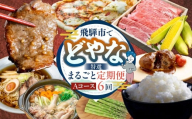 どやな飛騨市 定期便 Aコース いろいろ お届け 6ヵ月 6回 牛肉 肉 焼肉 飛騨牛 地鶏 チーズ ピザ アスパラガス 定期便 お楽しみ 6回 半年 [Q3015] 100000円 10万円 飛騨市