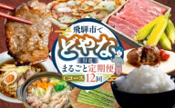 どやな飛騨市 定期便 Cコース いろいろ お届け 12ヵ月 12回 牛肉 肉 焼肉 飛騨牛 地鶏 米 新米 チーズ ピザ とうもろこし アスパラガス ピザ 定期便 お楽しみ 12回 1年 [Q3015] 200000円 20万円 飛騨市