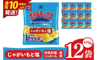 [10営業日以内に出荷]湖池屋 ポテトチップスじゃがいもと塩 Largeサイズ 112g×12個|お菓子 おかし おやつ スナック スナック菓子 菓子 ポテチ 大容量 おつまみ じゃがいも(93-181)