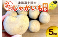[2月上旬〜4月下旬頃配送][訳あり]北海道十勝芽室町 農家応援じゃがいも(越冬)5kg 北海こがね(変形)me001-051c-3