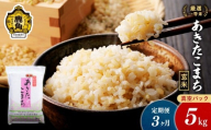 [定期便]令和7年産 厳選一等米 ダイツネ あきたこまち 玄米 5kg×3回[3ヶ月定期便]計15kg[大里恒三商店] 定期 定期便 あきたこまち 米 新米 真空 真空パック 保存 高品質 こめ コメ ご飯 ごはん お米 厳選 一等米 秋田県 秋田 あきた 鹿角市 鹿角 かづの 国産 産地直送