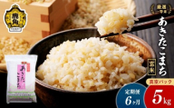 【定期便】令和7年産 厳選一等米 ダイツネ あきたこまち 玄米 5kg×6回《6ヶ月定期便》計30kg【大里恒三商店】 定期 定期便 あきたこまち 米 新米 真空 真空パック 保存 高品質 こめ コメ ご飯 ごはん お米 厳選 一等米 秋田県 秋田 あきた 鹿角市 鹿角 かづの 国産 産地直送