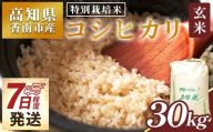[7日程度で発送]特別栽培米 コシヒカリ 玄米 30kg 新米 白米 コシヒカリ 米 お米 おこめ こしひかり 玄米 ごはん おにぎり おむすび ご飯 農業公社 高知県 香南市 常温 nu-0005