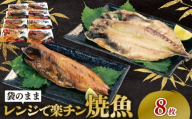 干物 詰め合わせ セット 8種 8枚 レンジ 簡単調理 真空パック 個包装 お手軽 ひもの あじ ほっけ さば フィーレ さば味醂 さけ 静岡県 沼津市 魚介 干物セット 美味しい 極上 静岡 沼津 コスパ