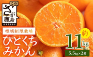 [12月頃お届け]鹿島みかん 根域制限栽培一口みかん 約5.5kg×2箱[約11kg]