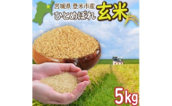 ≪令和7年産・新米≫  宮城県登米市産 ひとめぼれ 玄米 5kg お米 おこめ 米 白米 コメ ご飯 ごはん おにぎり お弁当 ブランド米【有限会社伊豆沼農産】tm481