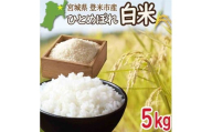≪令和7年産・新米≫ 宮城県登米市産 ひとめぼれ 5kg 精米 お米 おこめ 米 コメ 白米 ご飯 ごはん おにぎり お弁当 ブランド米【有限会社伊豆沼農産】tm480