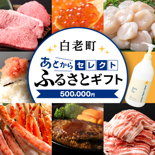 あとからセレクト 【ふるさとギフト】《500,000円分》 [ASGFT009] 2305313 - 北海道白老町