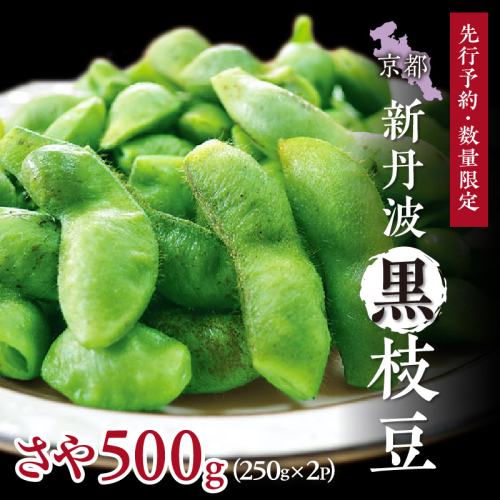 【先行予約／数量限定40】新丹波黒枝豆さや 500g（250g×2パック）（2026年10月中旬～発送） 2305356 - 京都府京丹後市