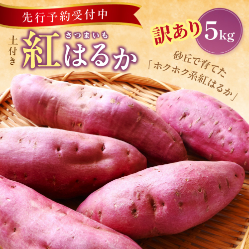 【先行予約／数量限定100】訳あり 京丹後産 土付き 紅はるか（さつまいも） 5kg（2025年11月上旬～発送） ご家庭用（優品・無洗・無洗別・特大込み）
 2305407 - 京都府京丹後市