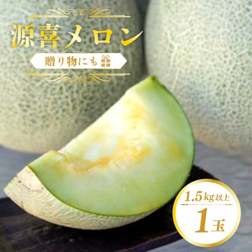 【先行予約】野木源の源喜メロン 1玉入り（2026年7月下旬～発送） 2305416 - 京都府京丹後市