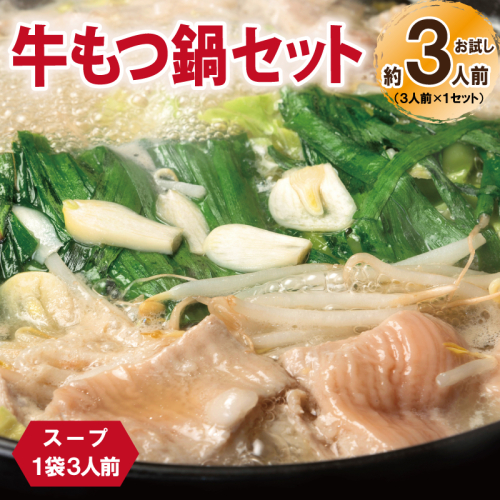 牛もつ鍋セット スープ付 約3人前【味付け 小分け 牛肉 ホルモン 醤油ベーススープ 簡単調理 お試し】 G3451 2305431 - 大阪府泉佐野市