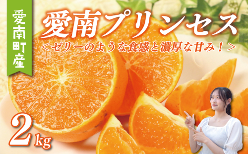 愛南 プリンセス 2kg サイズミックス 15000円 みかん 愛果48号 まどんな と 甘平 を交配 高級 人気 ブランド 柑橘 果物 フルーツ 紅プリンセス と 同一品種 数量限定 期間限定 産地直送 国産 農家直送 特産品 お取り寄せ ギフト プレゼント mikan 蜜柑 ミカン ぷりんせす 甘い おいしい ゼリー ぷるぷる 果樹園みどり 愛南町 愛媛県 2305462 - 愛媛県愛南町