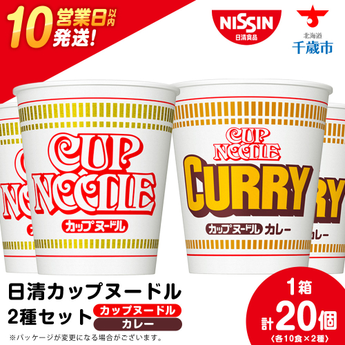 日清ヌードル2種セット カップヌードル・カレーヌードル10食 ラーメン ラーメン 麺 即席麺 麺類 カップ麺 インスタント カップラーメン 2305511 - 北海道千歳市