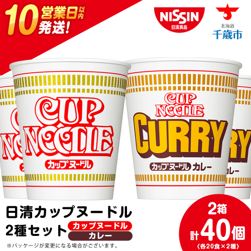 日清ヌードル2種セット カップヌードル・カレーヌードル各20食 ラーメン 麺 即席麺 麺類 カップ麺 インスタント カップラーメン 2305512 - 北海道千歳市