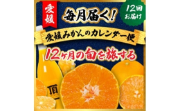 【ふるさと納税】＜発送月固定定期便＞毎月届く!みかんのカレンダー便 〜12ヶ月の旬を旅する〜＜H31-62＞全12回【4074244】