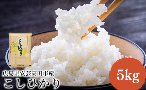 米 令和7年産 こしひかり 5kg 2025年 広島県安芸高田市産 白米 お米 コシヒカリ 2305822 - 広島県安芸高田市
