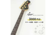 ギターの調整・改造サービス券|オーダーメイド工房による職人対応(3000円分)【1669064】