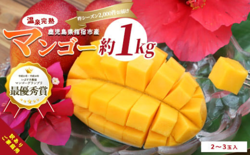 【2025年 発送】【訳あり】鹿児島県いぶすき産 温泉完熟マンゴー約1kg(T&P/016-1750) マンゴー フルーツ 果物 旬 夏 指宿 いぶすき 鹿児島  完熟  グルメ 予約 先行予約 南国 南国フルーツ 果実 マンゴー 太陽 国産 鹿児島県産 果汁 規格外 