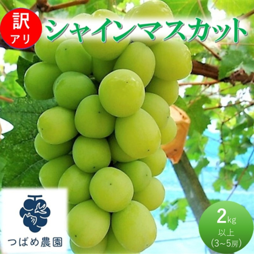 2027年 早期受付 ぶどう 訳あり シャインマスカット 2kg以上(3～5房) 数量限定 岡山県 高梁市産 2306683 - 岡山県高梁市