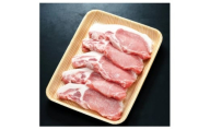 養老山麓豚 ロース とんかつ・テキカツ用 500g(100g×5枚)【1634048】