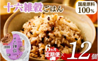 定期便 6回 十六雑穀 ごはんパック 160g 12個 パックごはん パックご飯 ごはんパック ご飯パック パックライス パック 16雑穀 雑穀 米 ごはん ご飯 こめ ライス 備蓄 保存 防災 レンジ 調理 簡単 レンチン 温めるだけ 健康 ダイエット 美容 栄養 ヘルシー 国産 12 12食 レトルト インスタント おいしい 人気 おすすめ おくさま印 大阪 松原