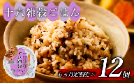 定期便 6回 十六雑穀 ごはんパック 160g 12個 パックごはん パックご飯 ごはんパック ご飯パック パックライス パック 16雑穀 雑穀 米 ごはん ご飯 こめ ライス 備蓄 保存 防災 レンジ 調理 簡単 レンチン 温めるだけ 健康 ダイエット 美容 栄養 ヘルシー 国産 12 12食 レトルト インスタント おいしい 人気 おすすめ おくさま印 大阪 松原
