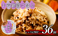 定期便 6回 十六雑穀 ごはんパック 160g 36個 パックごはん パックご飯 ごはんパック ご飯パック パックライス パック 16雑穀 雑穀 米 ごはん ご飯 こめ ライス 備蓄 保存 防災 レンジ 調理 簡単 レンチン 温めるだけ 健康 ダイエット 美容 栄養 ヘルシー 国産 36 36食 レトルト インスタント おいしい 人気 おすすめ おくさま印 大阪 松原