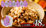 定期便 6回 十六雑穀 ごはんパック 160g 48個 パックごはん パックご飯 ごはんパック ご飯パック パックライス パック 16雑穀 雑穀 米 ごはん ご飯 こめ ライス 備蓄 保存 防災 レンジ 調理 簡単 レンチン 温めるだけ 健康 ダイエット 美容 栄養 ヘルシー 国産 48 48食 レトルト インスタント おいしい 人気 おすすめ おくさま印 大阪 松原